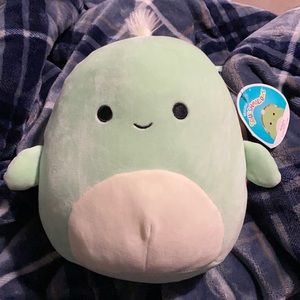 Antoni the turtle Squishmallow